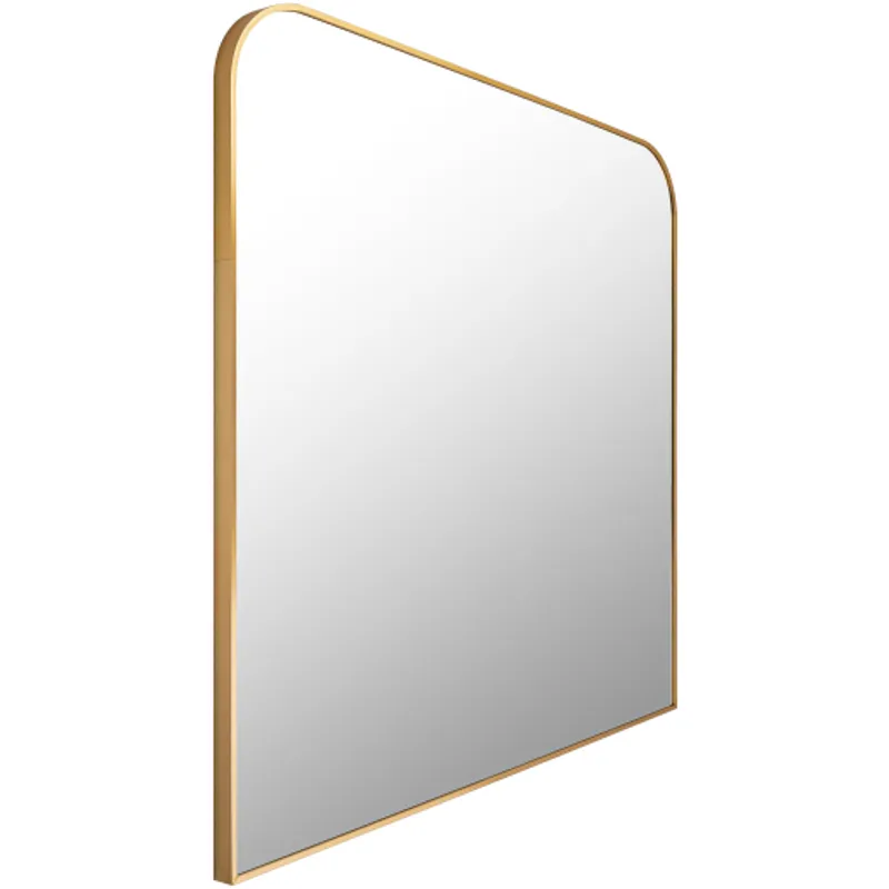 Aranya Mirror