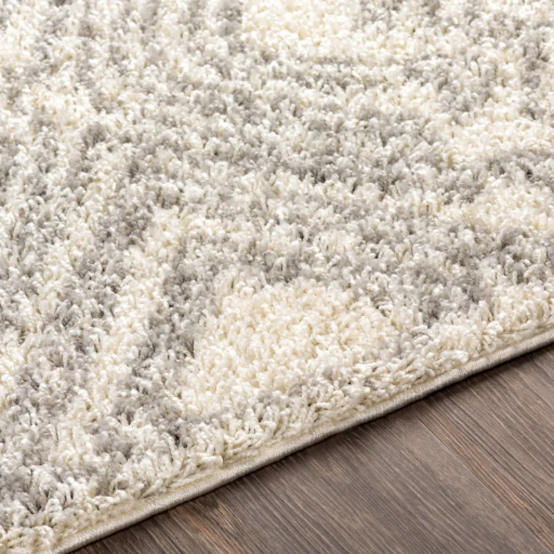 Taza shag 7'10" x 10' Rug