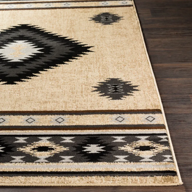Paramount 1'10" x 2'11" Rug