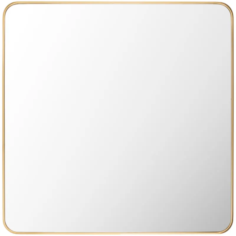 Aranya Mirror