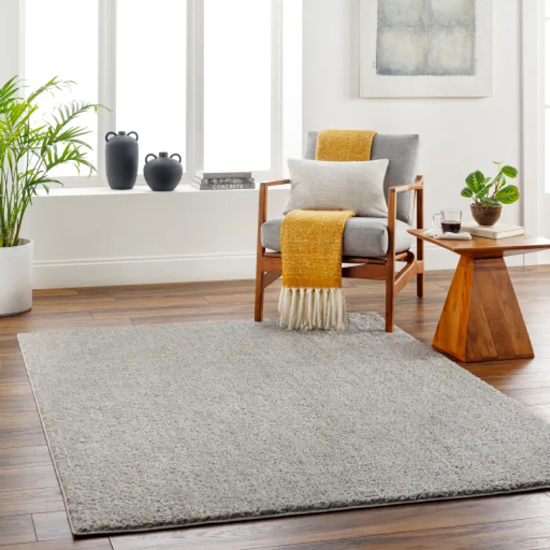 Alfombra 3'11" x 5'11" Rug