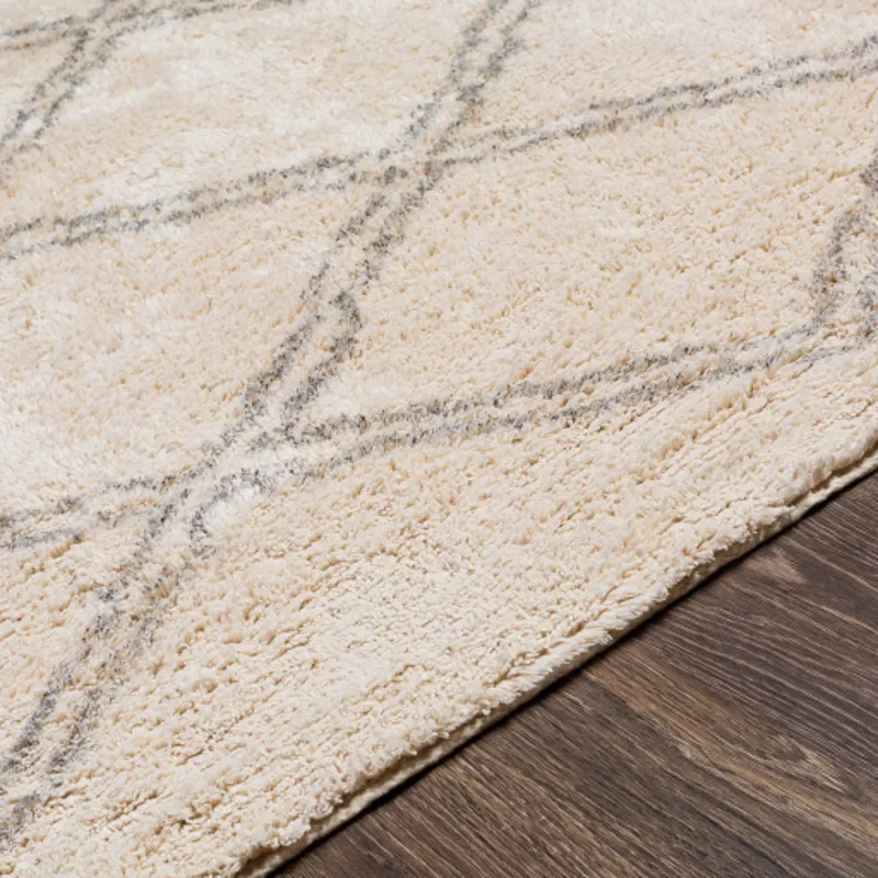 Khemisset 5' x 7'6" Rug