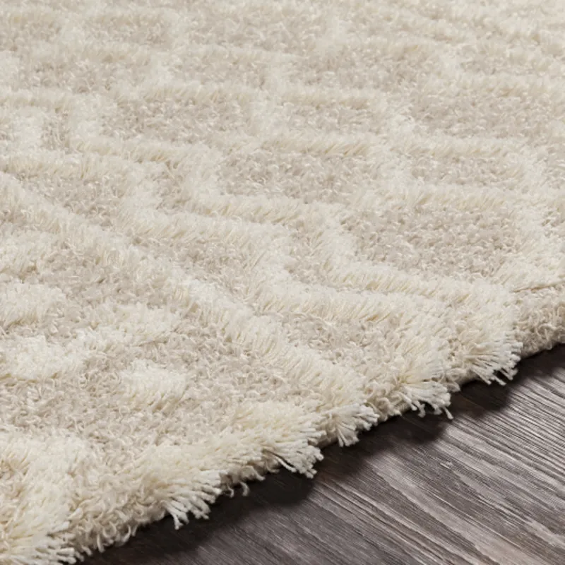 Urban Shag 2'7" x 14' Rug