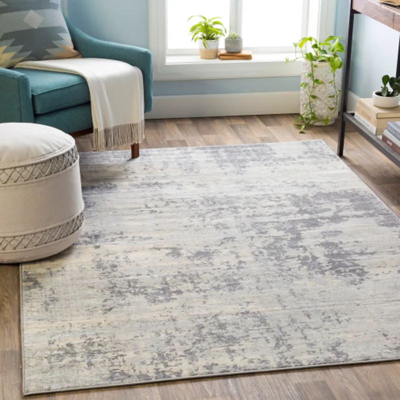 Monaco 2' x 3' Rug