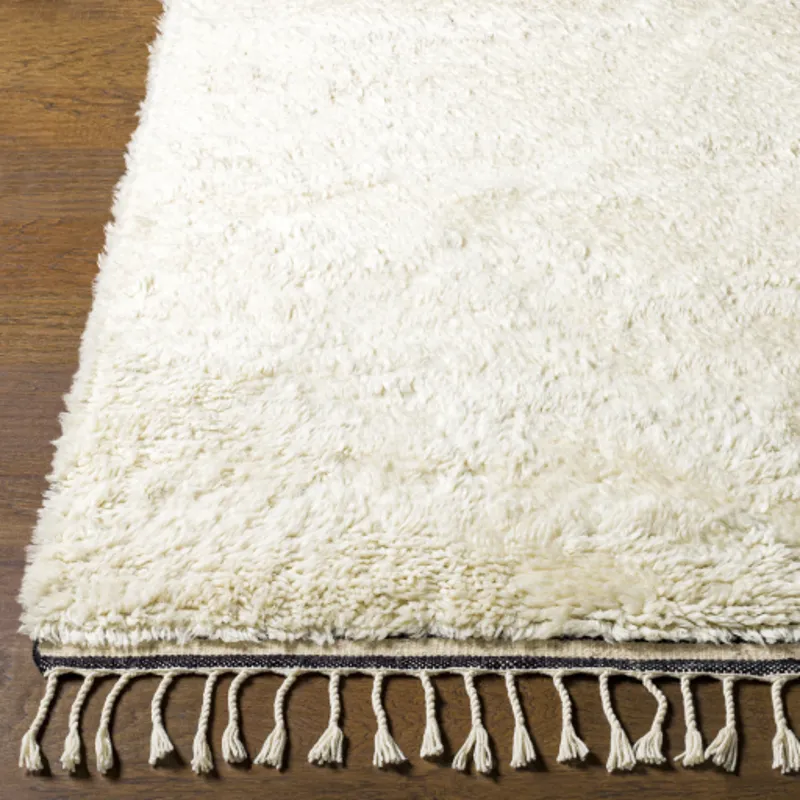 Sahara 2' x 3' Rug