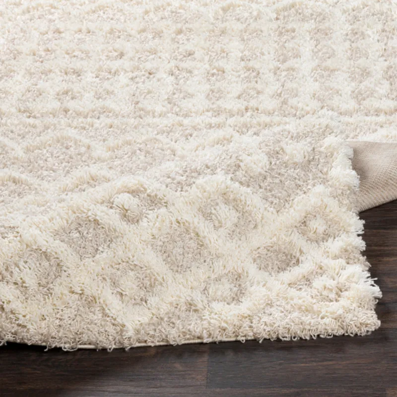 Urban Shag 6'7" x 9'6" Rug
