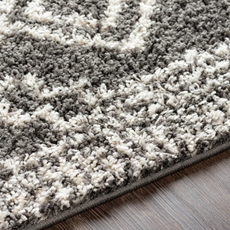 Taza shag 7'10" x 10' Rug