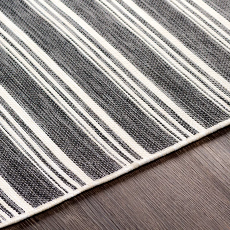 Pasadena 2'7" x 4'11" Rug