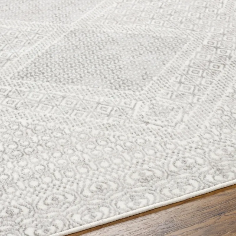 Pisa 6'7" x 9' Rug