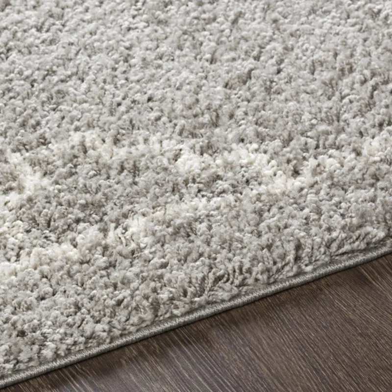 Taza shag 7'10" x 10' Rug