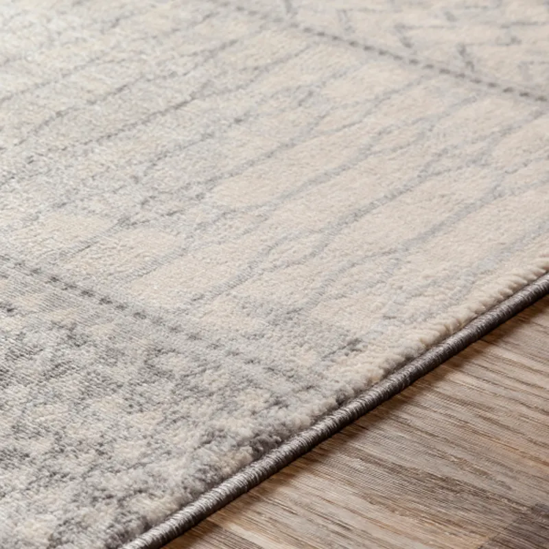 Monaco 8'10" x 12'3" Rug