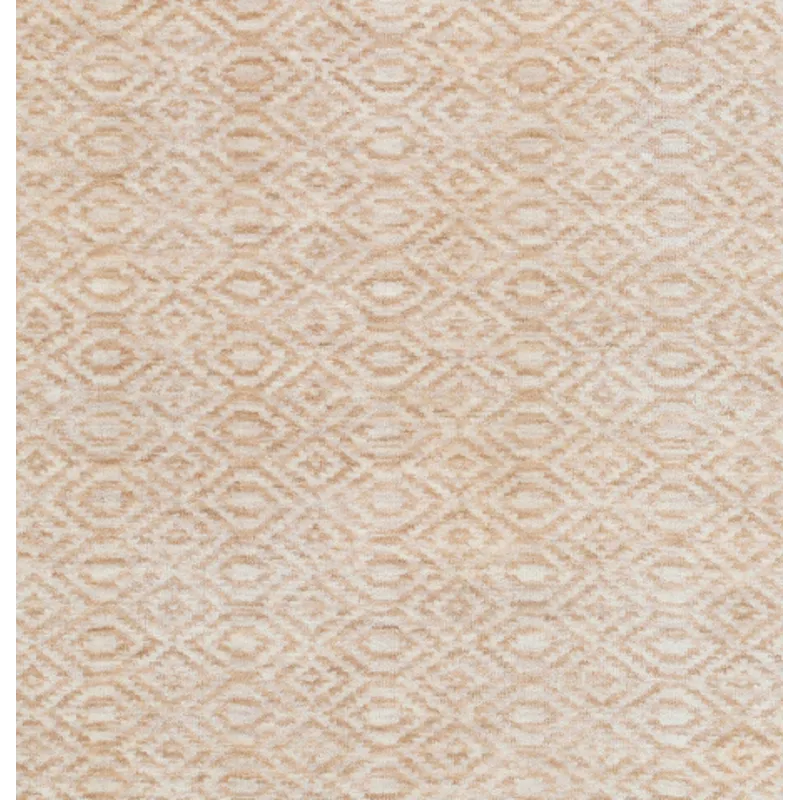 Astara 9' x 13' Rug