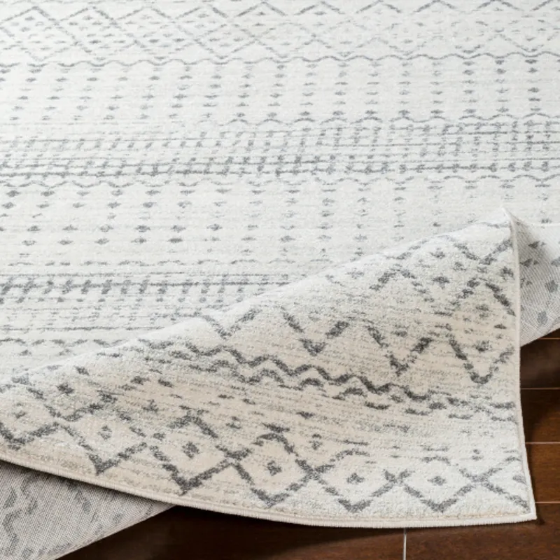 Harput 2' x 3' Rug