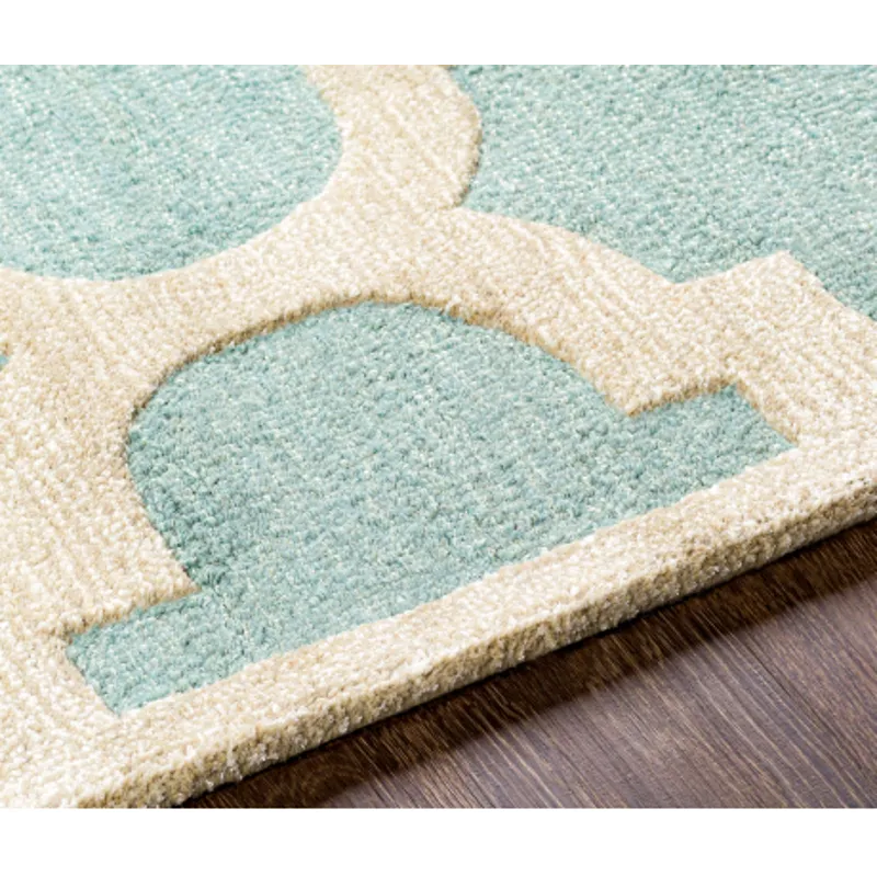 Arise 2'3" x 12' Rug