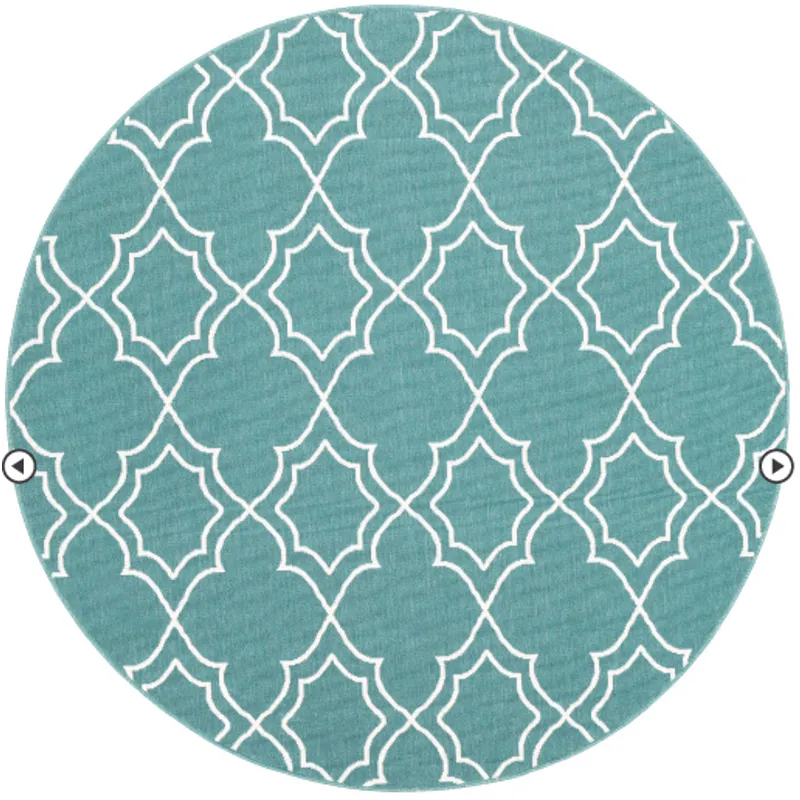 Alfresco 8'10" Round Rug