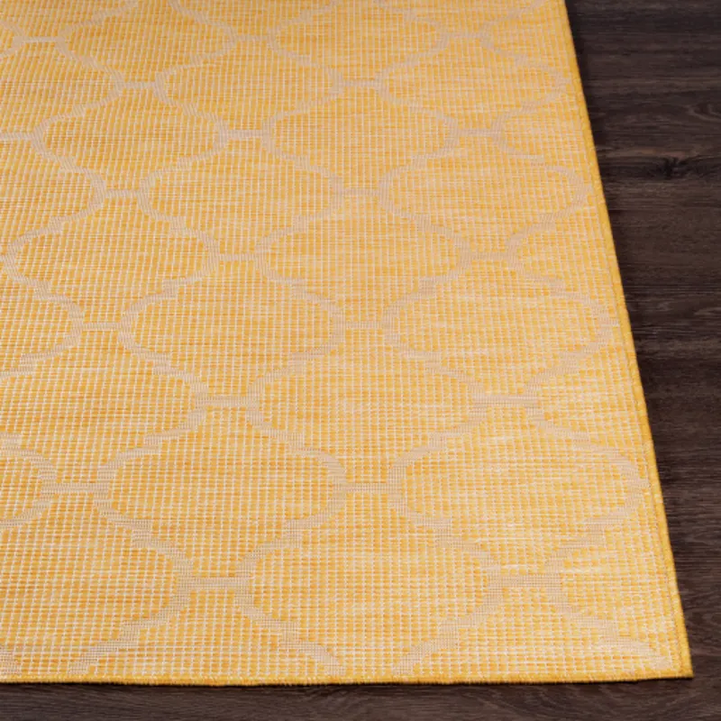 Pasadena 2'6" x 7'3" Rug