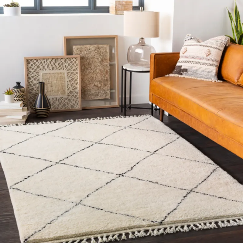 Meknes 2' x 3' Rug