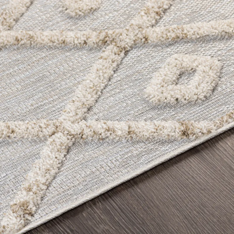 Toledo 5'3" x 7' Rug