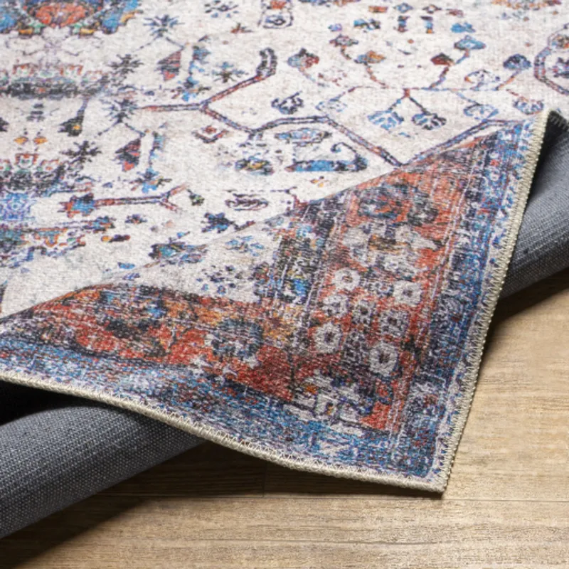 Tahmis 2'7" x 7'10" Rug