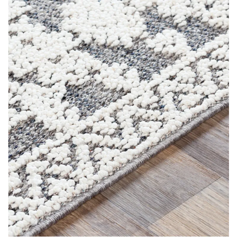 Ariana 2'3" x 3'9" Rug