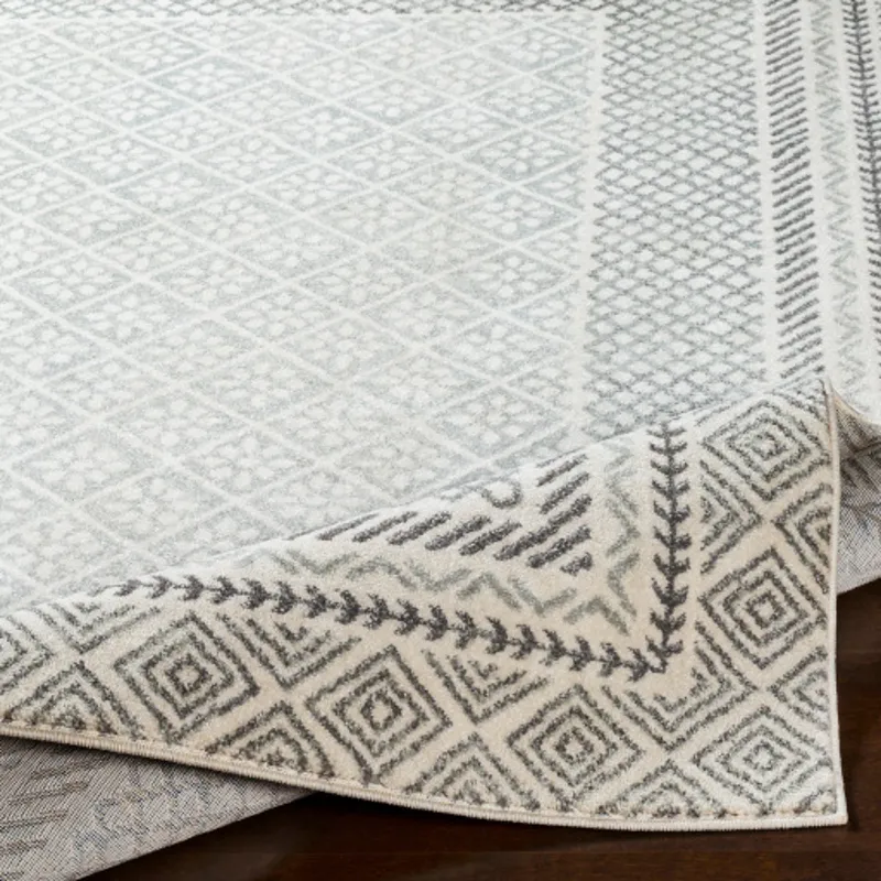 Harput 2' x 3' Rug