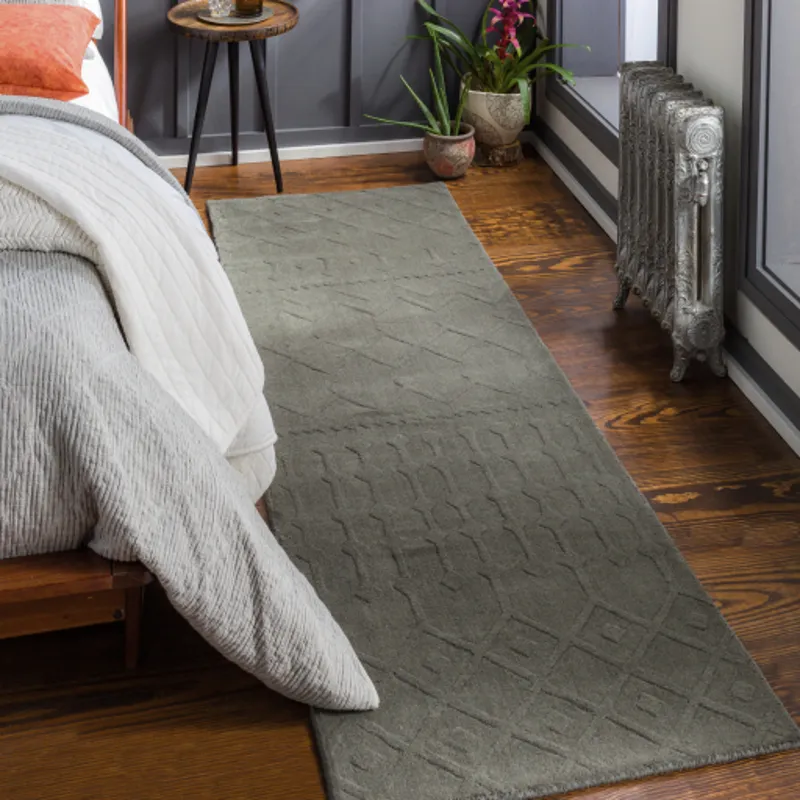 Taraash 2'6" x 8' Rug