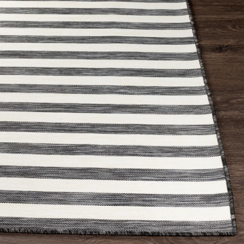 Pasadena 5'3" x 7'3" Rug