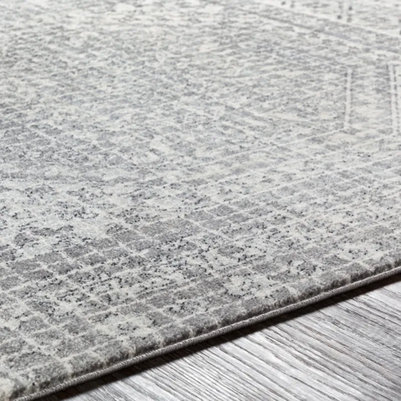 Harput 2' x 3' Rug