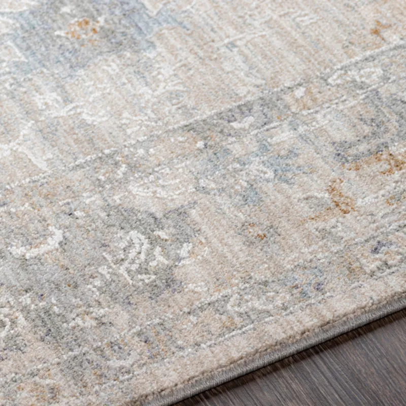 Virginia 2' x 3'11" Rug