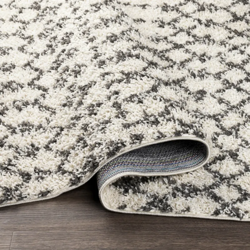 Taza shag 7'10" x 10' Rug
