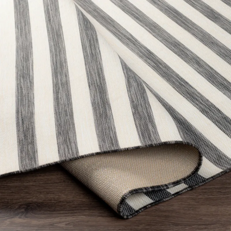 Pasadena 2'7" x 4'11" Rug