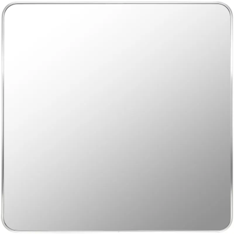Aranya Mirror