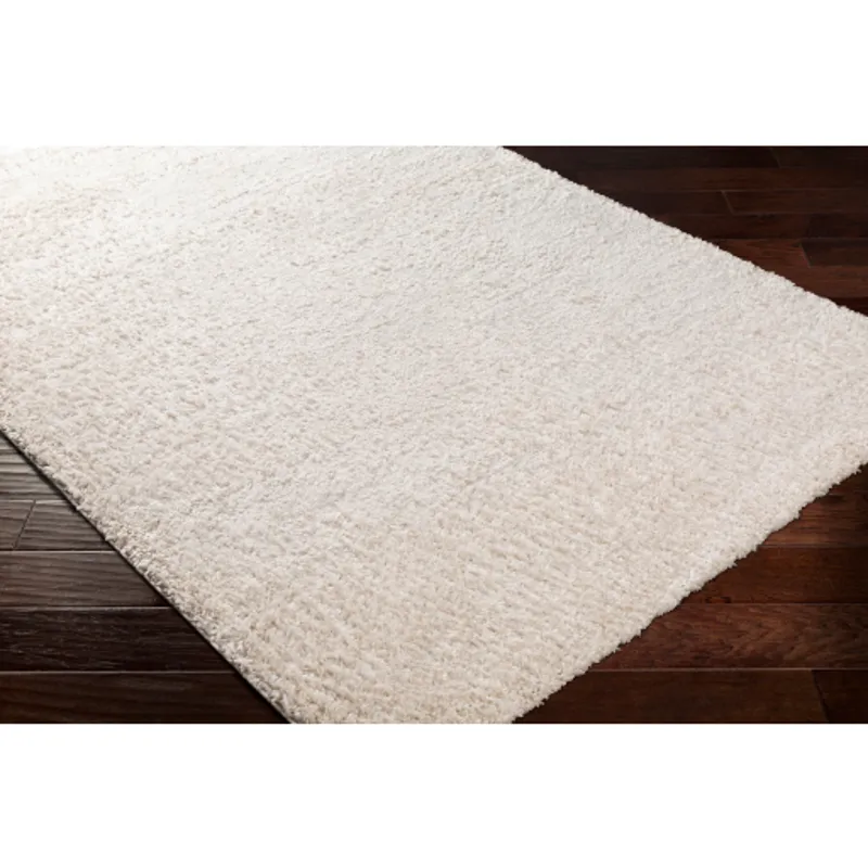 Deluxe shag 2' x 3' Rug