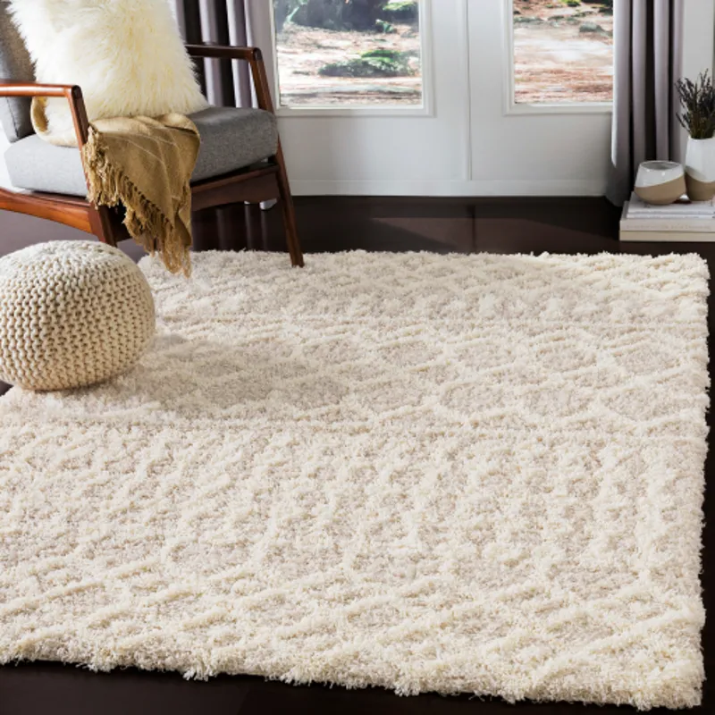 Urban Shag 2'7" x 5' Rug