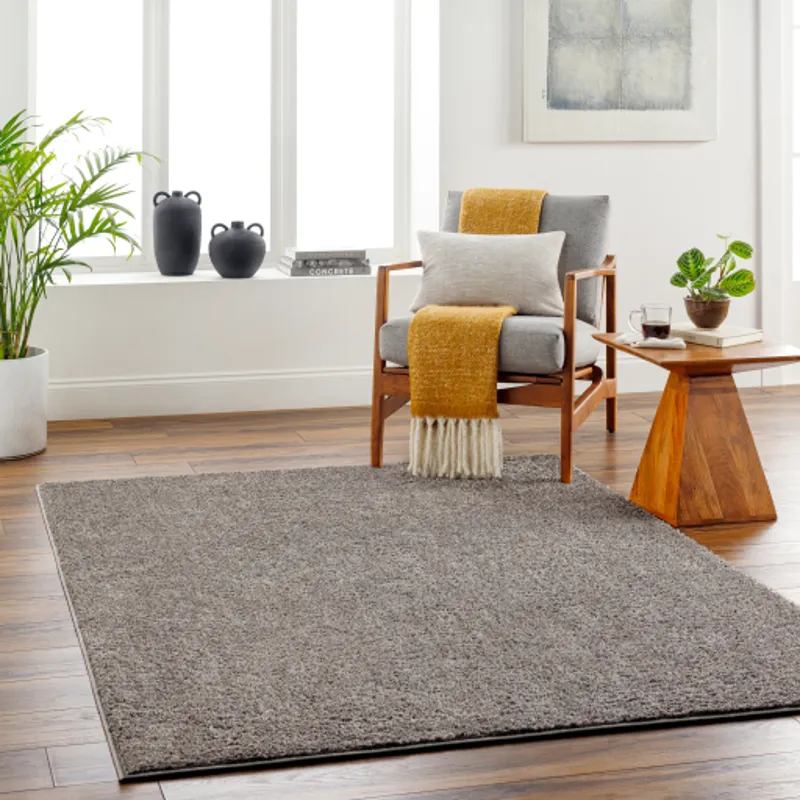 Alfombra 3'11" x 5'11" Rug