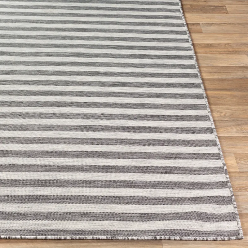 Pasadena 2'7" x 4'11" Rug