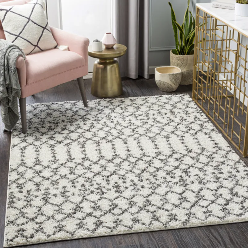 Taza shag 7'10" x 10' Rug