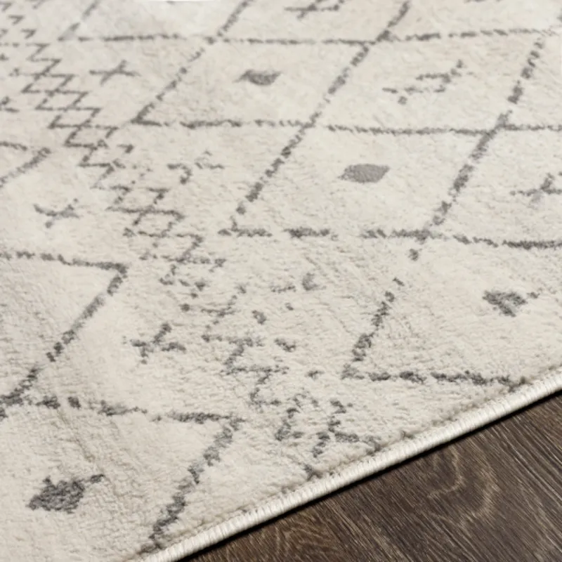 Roma 2'7" x 7'3" Rug