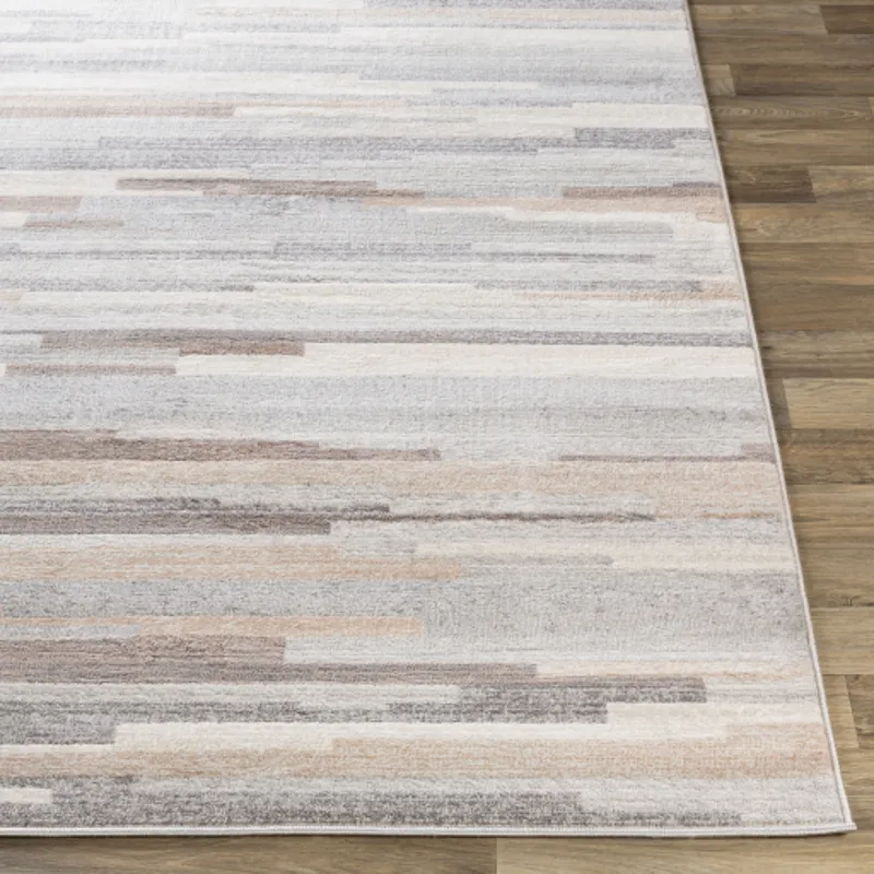 Roma 2'7" x 10' Rug
