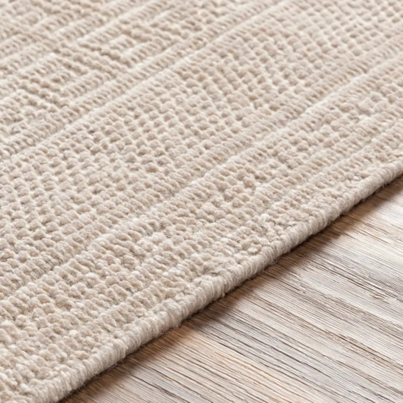 Livorno 2' x 3' Rug