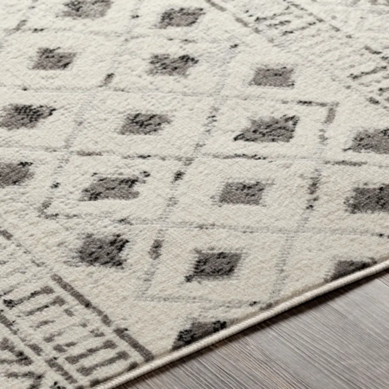 Pisa 7'10" x 10' Rug