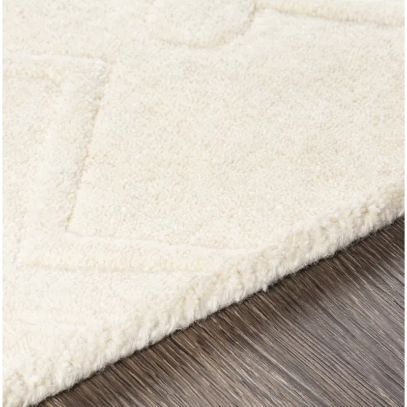 Taraash 2' x 3' Rug