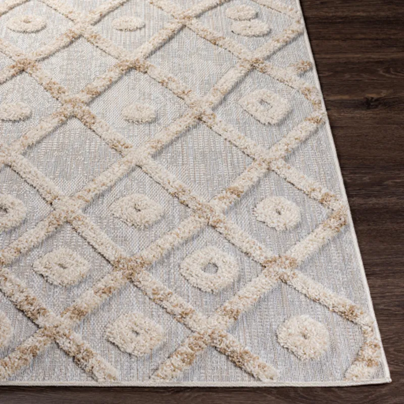 Toledo 5'3" x 7' Rug