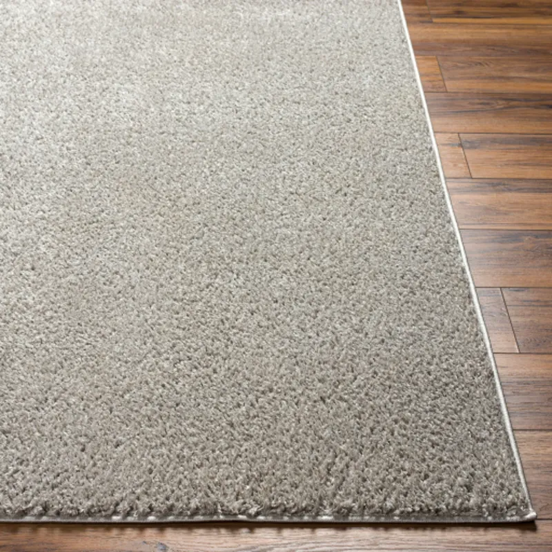 Alfombra 2' x 3' Rug