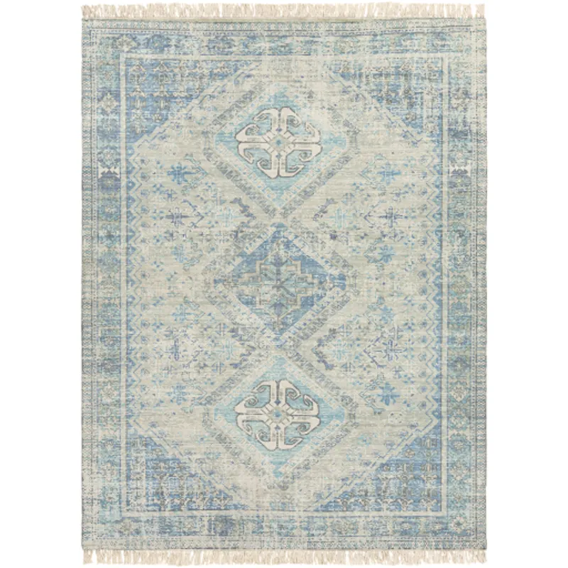 Zainab 8'10" x 12' Rug