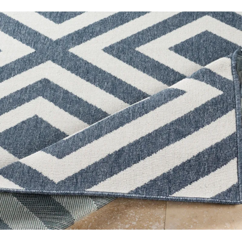 Alfresco 2'5" x 4'5" Rug