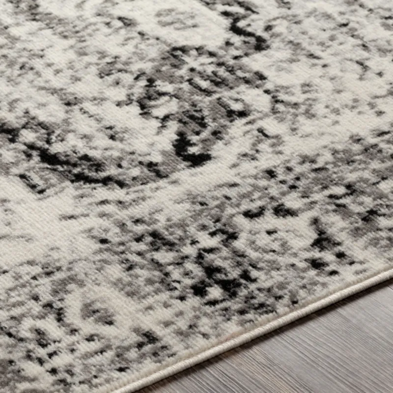 Pisa 6'7" x 9' Rug