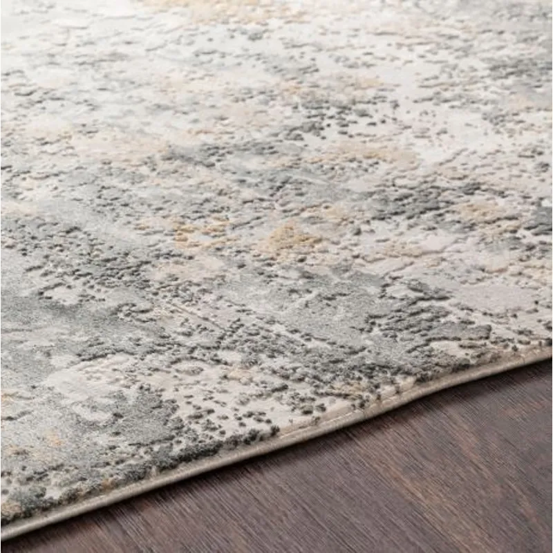 Aisha 9'3" x 12'3" Rug