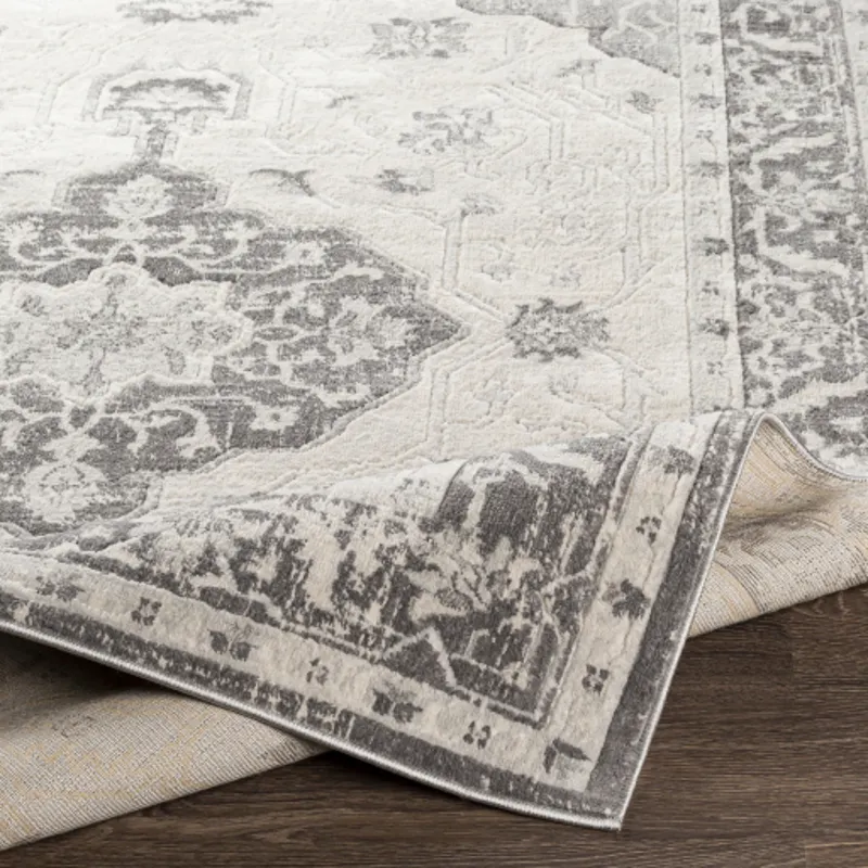 Remy 7'10" x 10' Rug