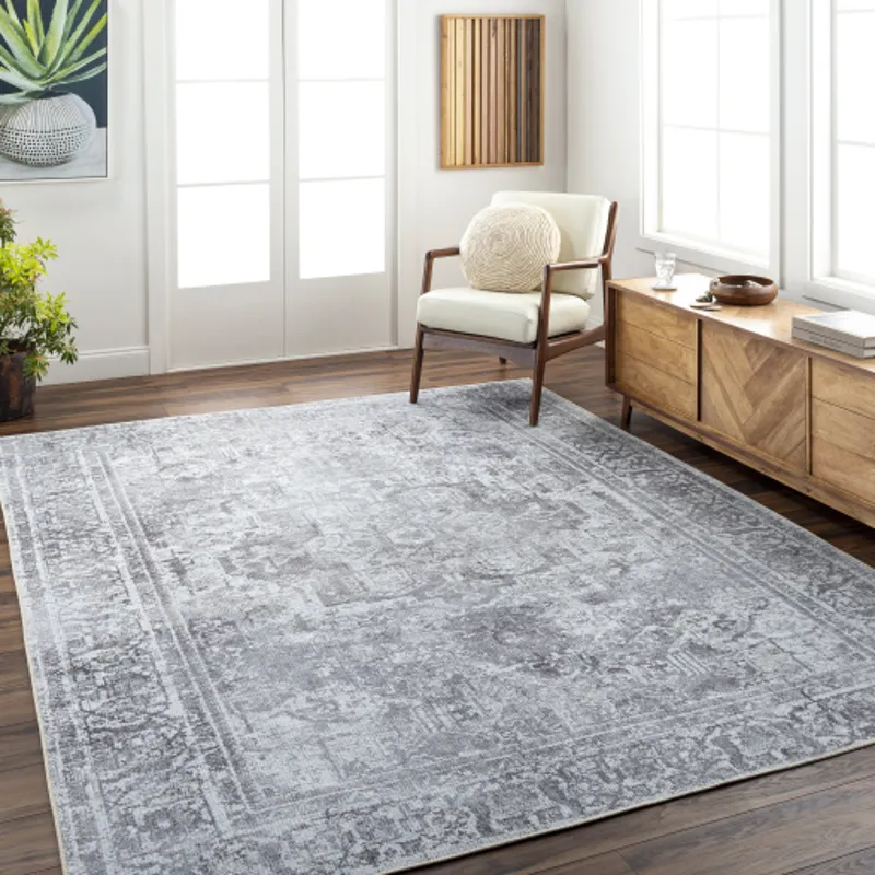 Tahmis 7'10" x 10'2" Rug